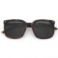 Orley | Tortoise